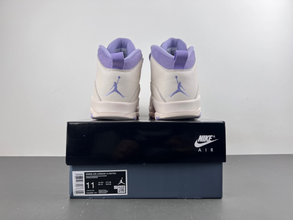 Air Jordan 10 “Hydrangeas” IQ0388-101