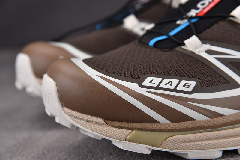 salomon xt-6 advanced