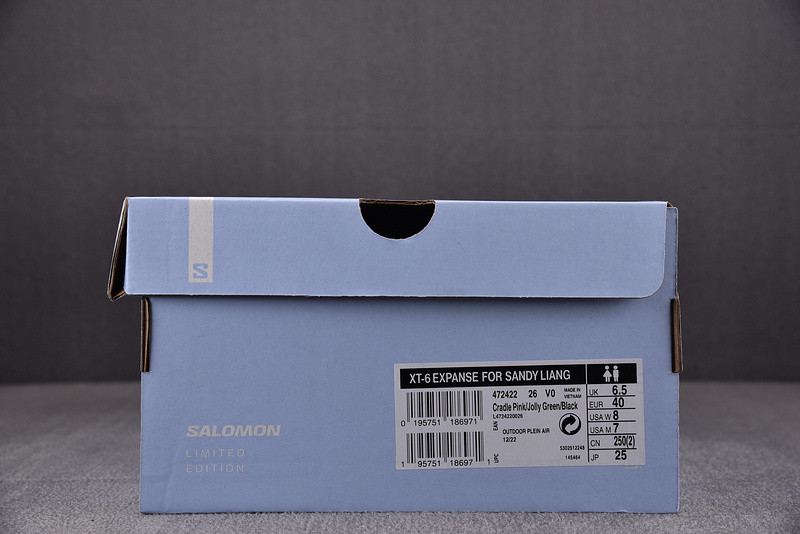 sandy liang x salomon xt-6 expanse