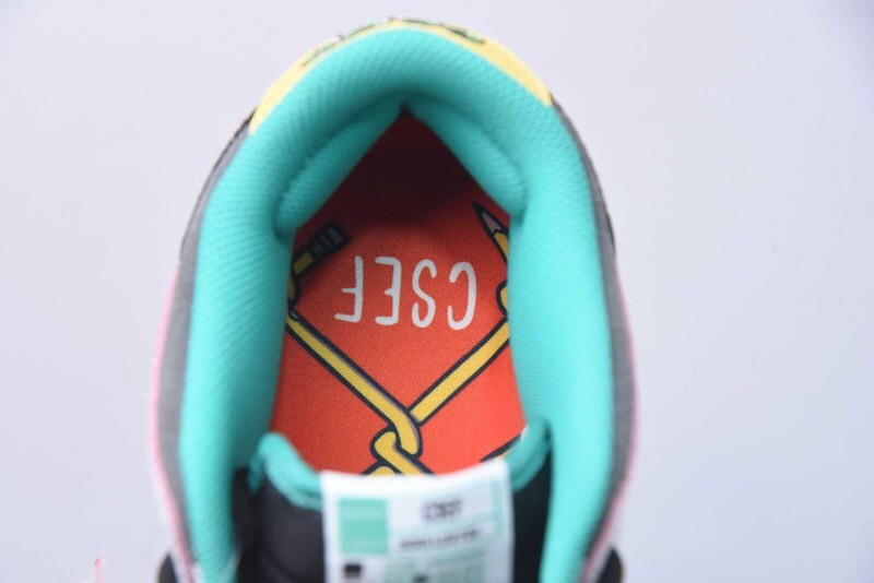 CSEF x Nike SB Dunk Low HJ4132-100