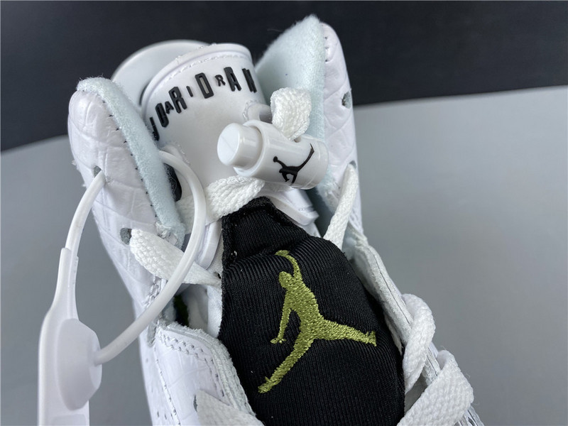 air jordan 6 gs alligator 384665-110